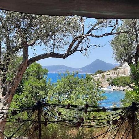 Apartmani Roganovic Luštica Eksteriør billede